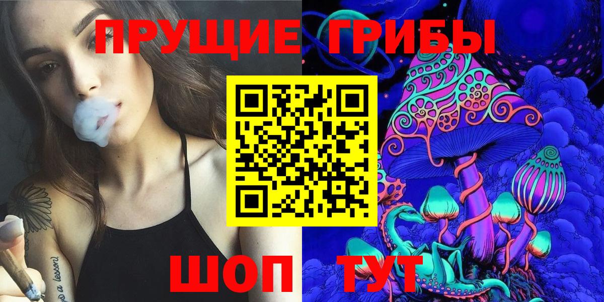 Галлюциногенные грибы Psilocybe Лангепас