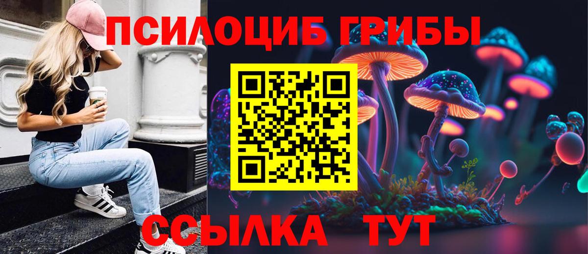 Псилоцибиновые грибы Psilocybe  Вход с VPN  Лангепас 